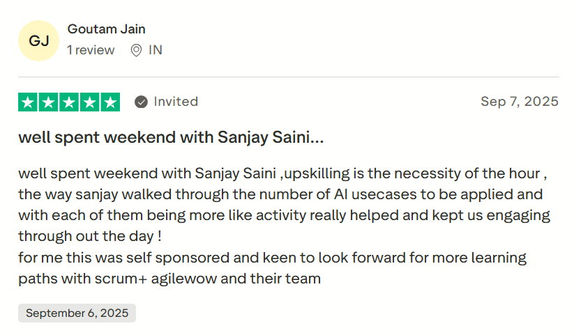 AI Product Owner Participant Review